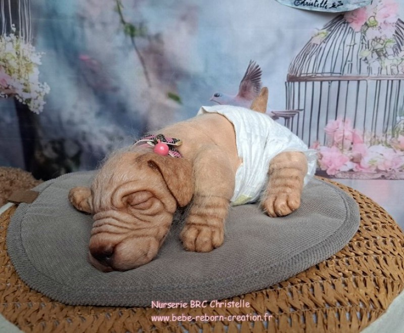 Benni Simon Laurens  (1)